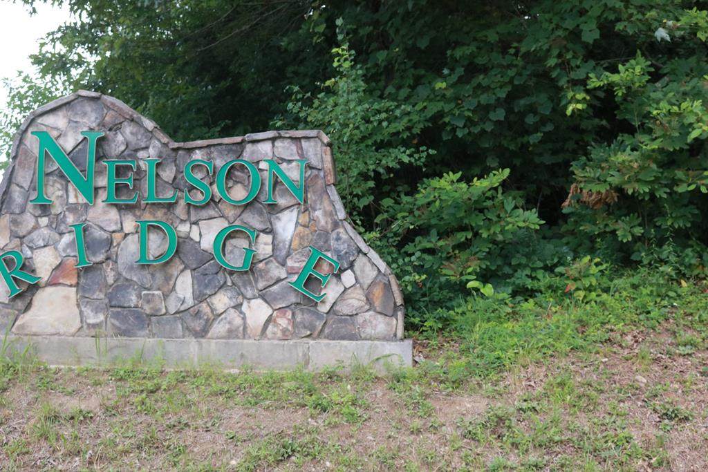 Lot 1 Nelson Ridge - Photo 1