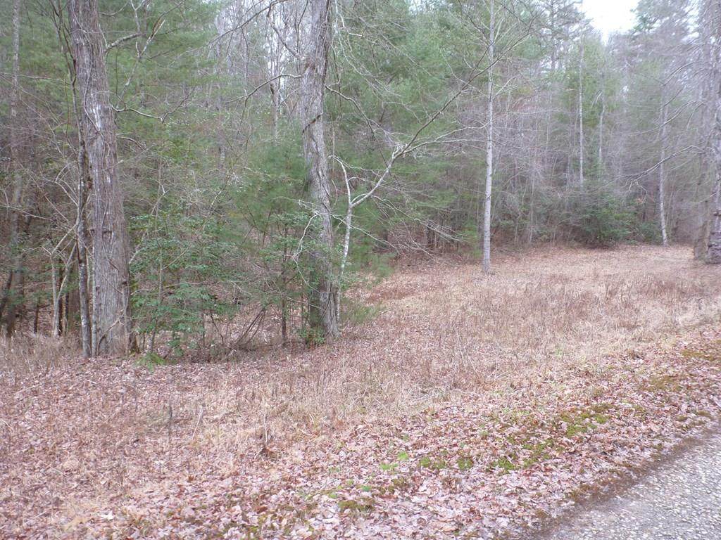 Lot 5 Thundering Hill - Photo 1