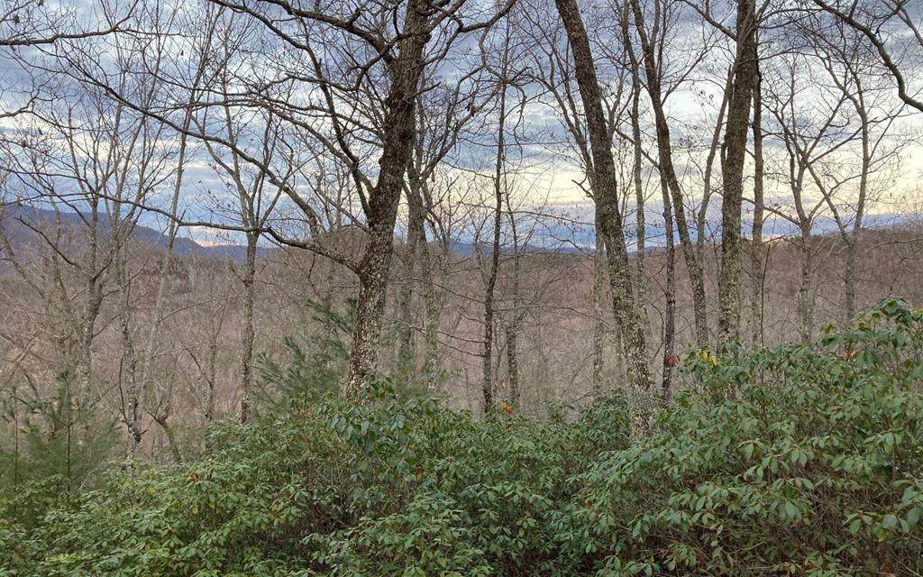 Lot 22 Foxwood Drive - Photo 1