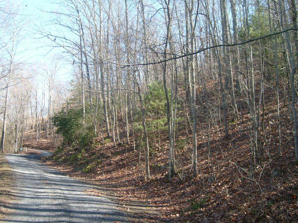 0 Oak Ridge Estates - Photo 1