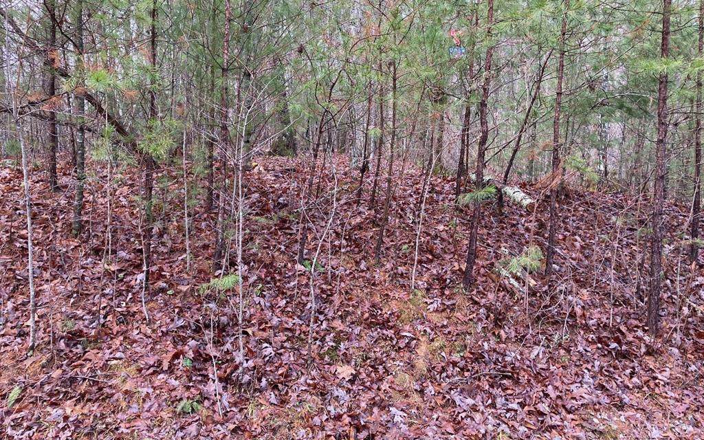 Lot 3 Woodland Trails - Photo 1