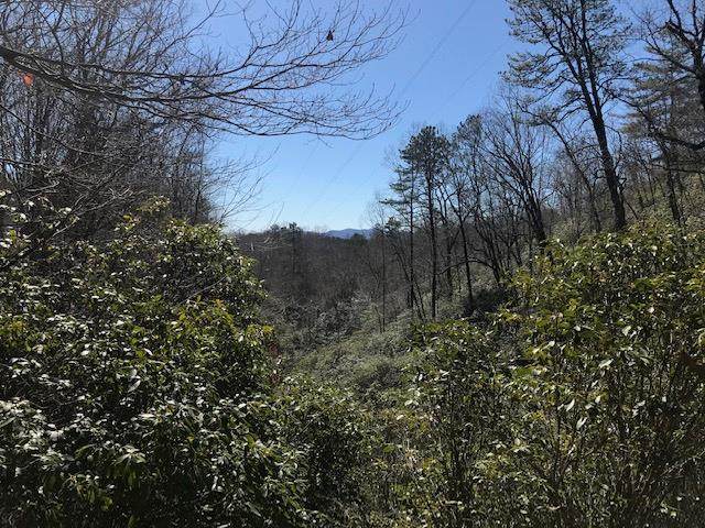 Lot 65 Crestview Way - Photo 1