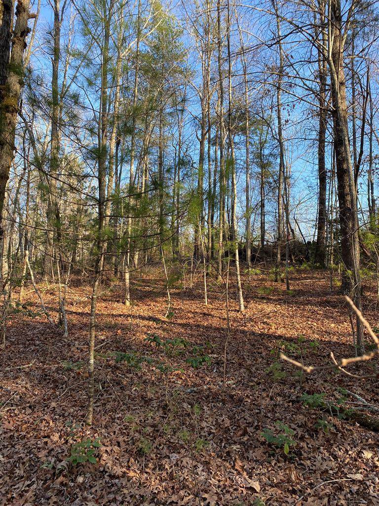 Lot 10 Hiwassee Creek Estates - Photo 1