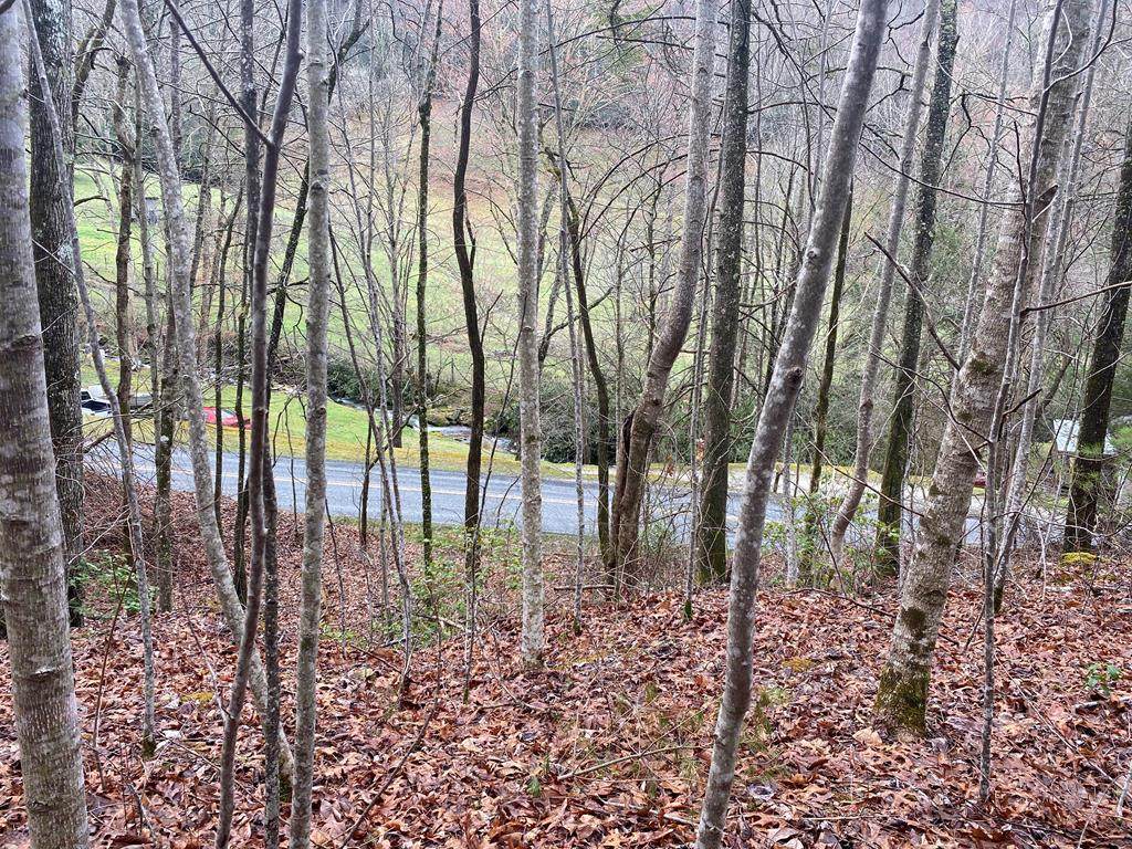 0 Beech Creek - Photo 1