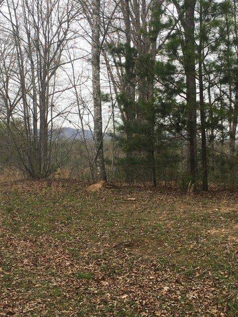 Lot 30 The Ridges At Mill Creek - Photo 1