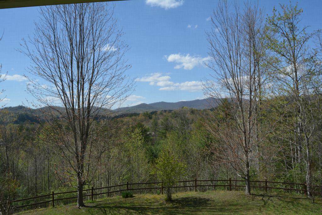 87 Box Turtle Lane - Photo 1