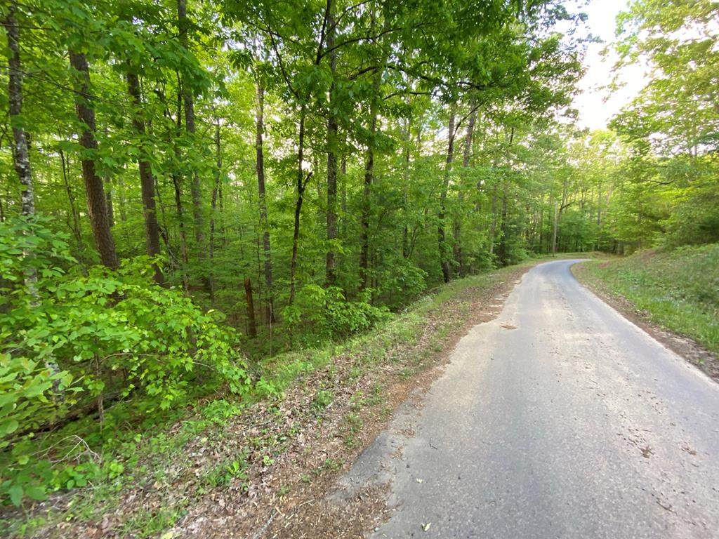 000 Orton Rd - Photo 1