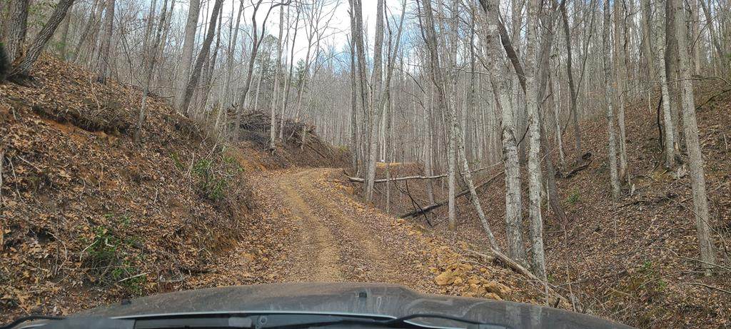 Lot O Horseshoe Ridge - Photo 1