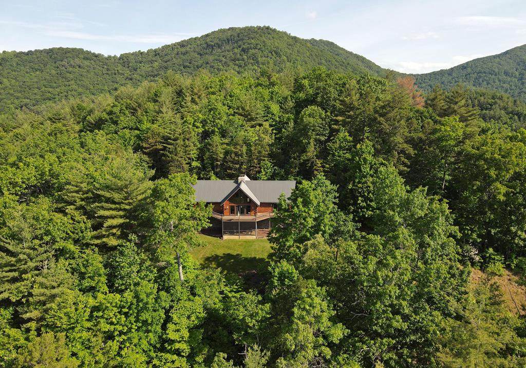 4142 Ebenezer Road - Photo 1