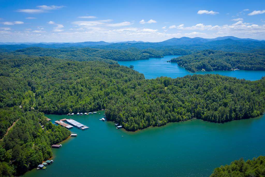 11003 Joe Brown Highway - Photo 1