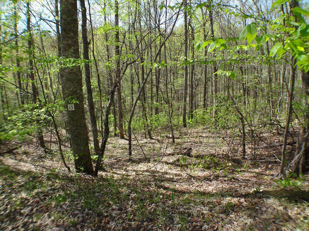 Lot #13 Deweese Rd - Photo 1