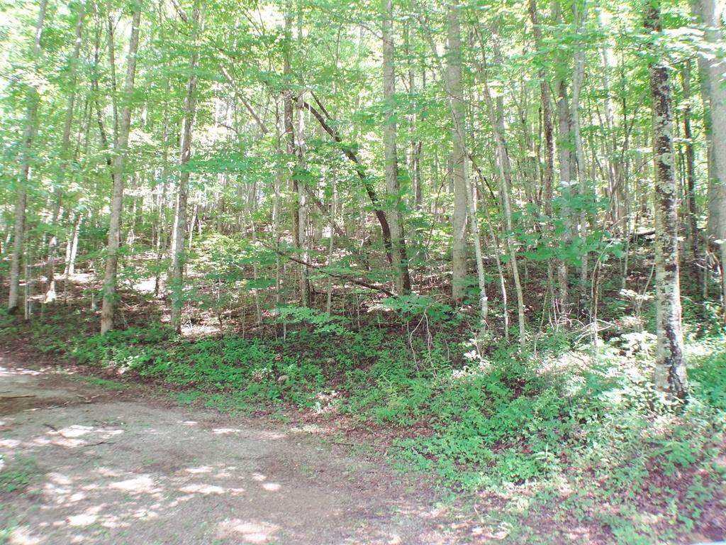 Lot #8 Deweese Road - Photo 1