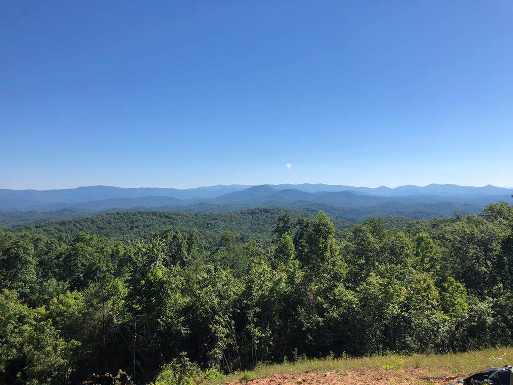 TBD Bear Paw Church Road - Photo 1