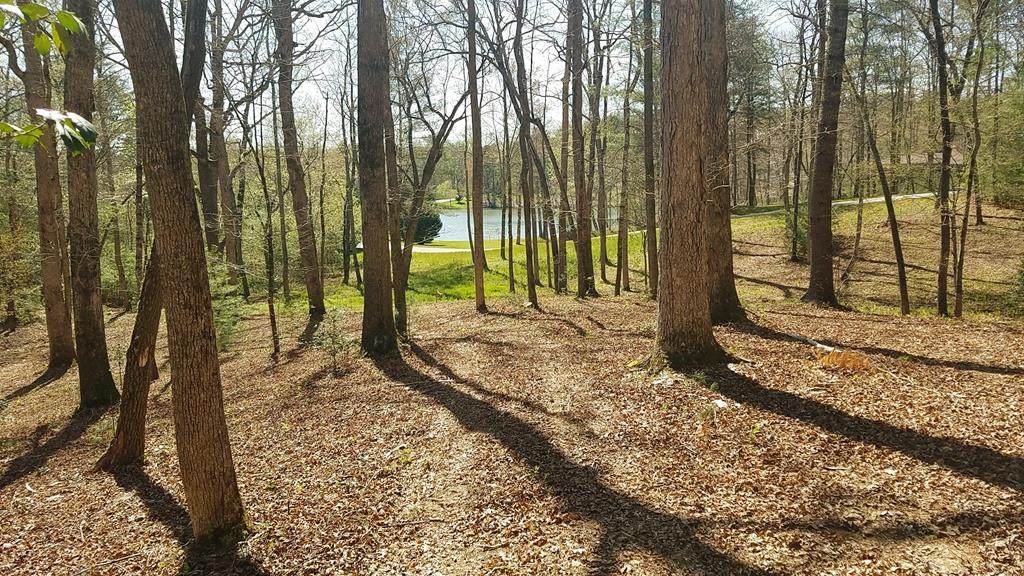 LT9 Fox Lake Subdivision - Photo 1
