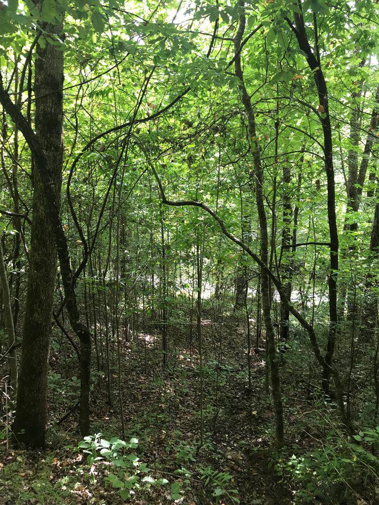 Lot 1 Indian Lake Drive - Photo 1