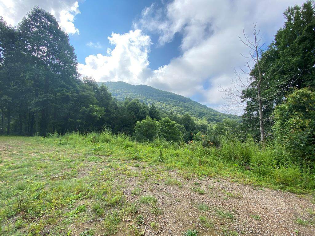 0 Hannah Mountain Road - Photo 1