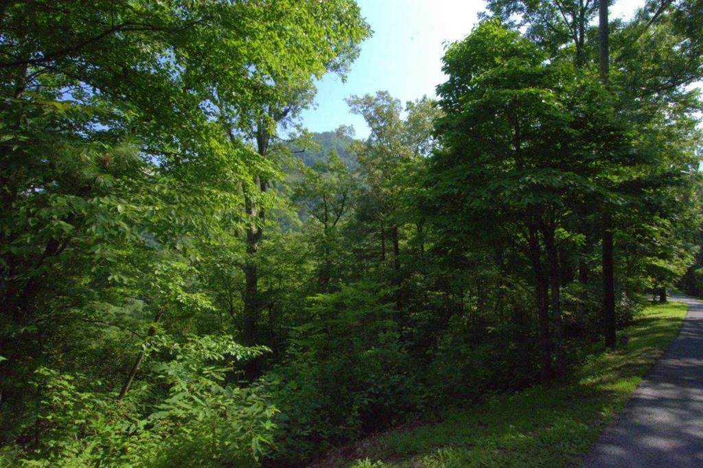 00 Black Bear Trail - Photo 1