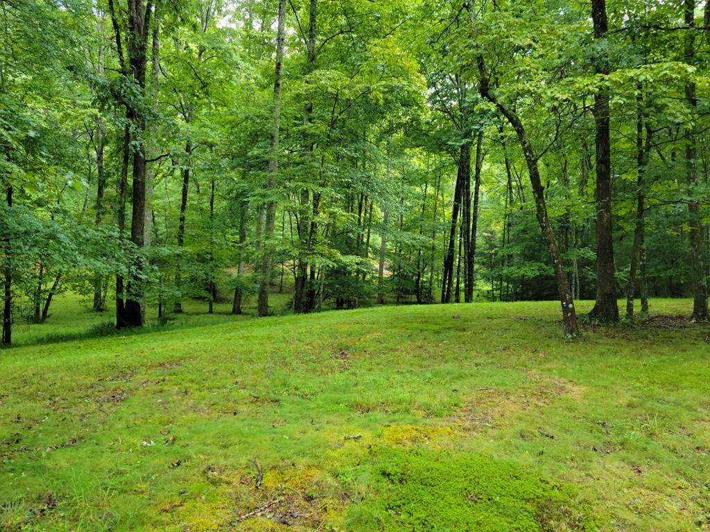 4,12 Skyland Trail - Photo 1