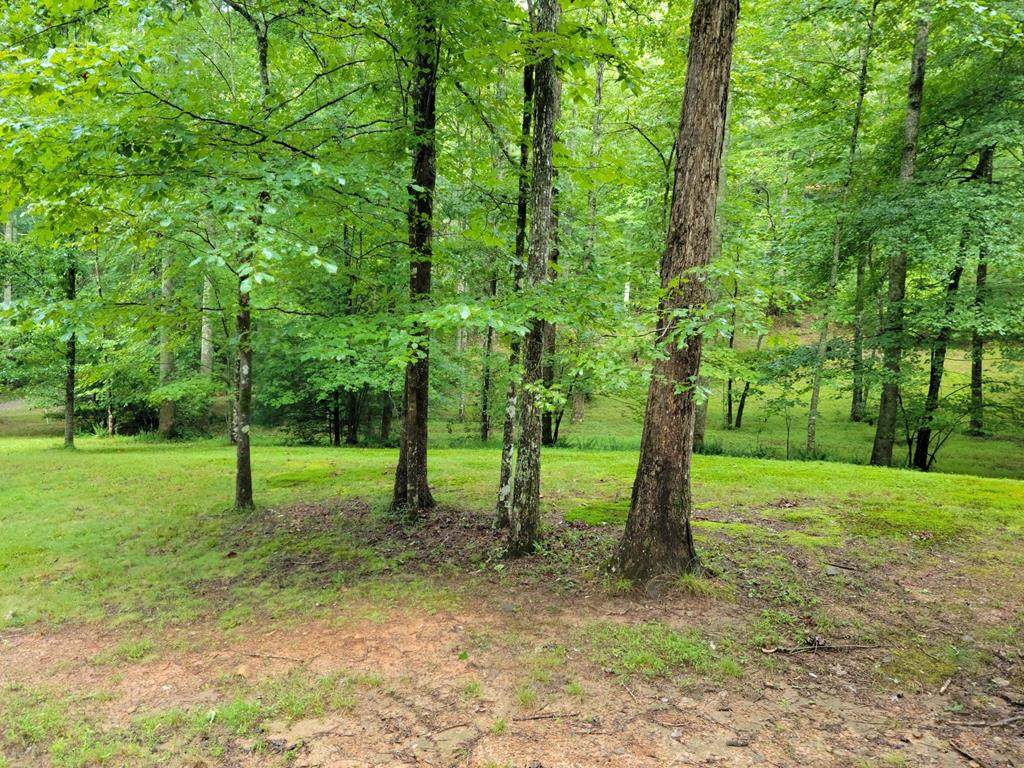 3,4 Skyland Trail - Photo 1
