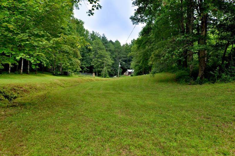 25409 Joe Brown Highway - Photo 1