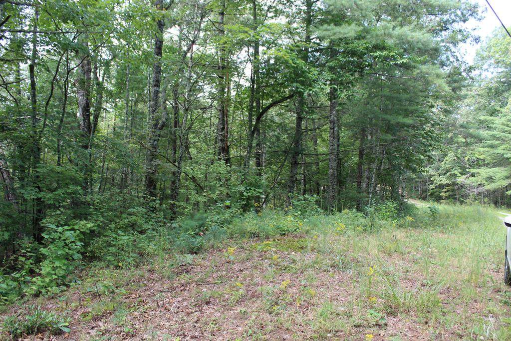 21 Camp David Road - Photo 1