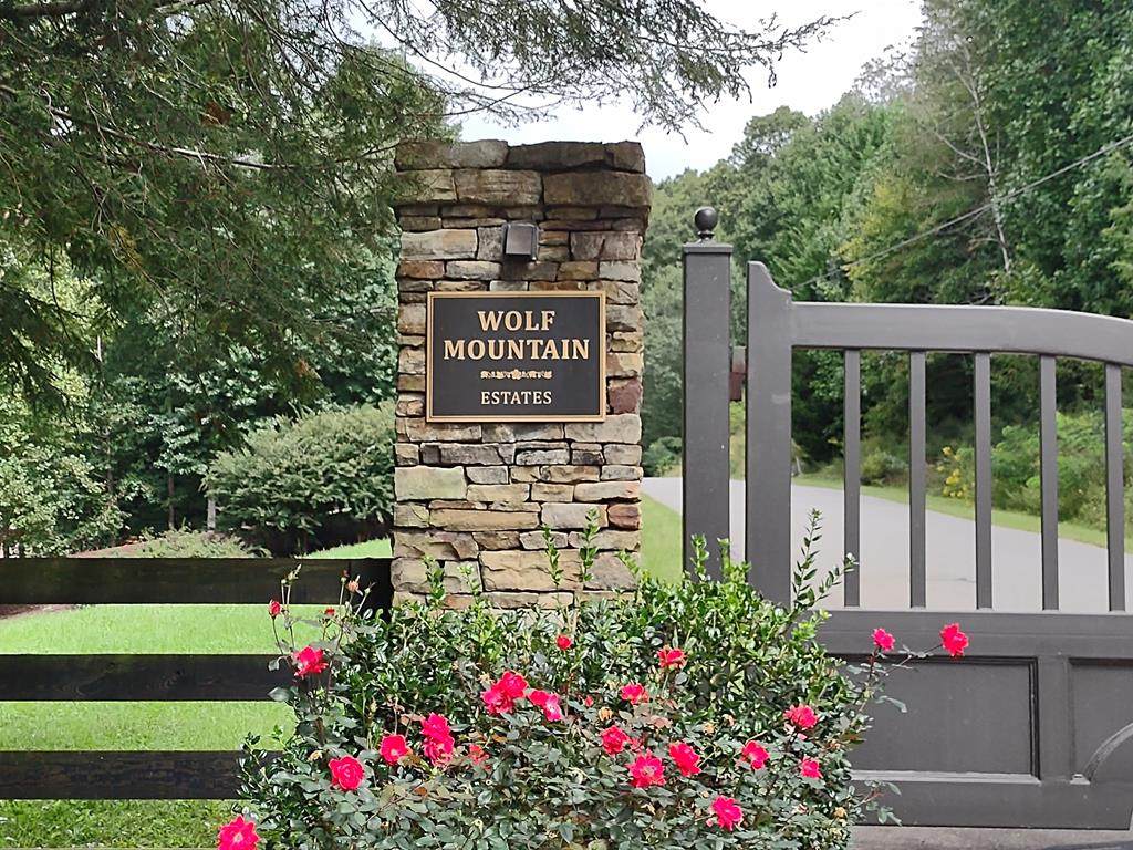 00 Scenic Vista Drive - Photo 1