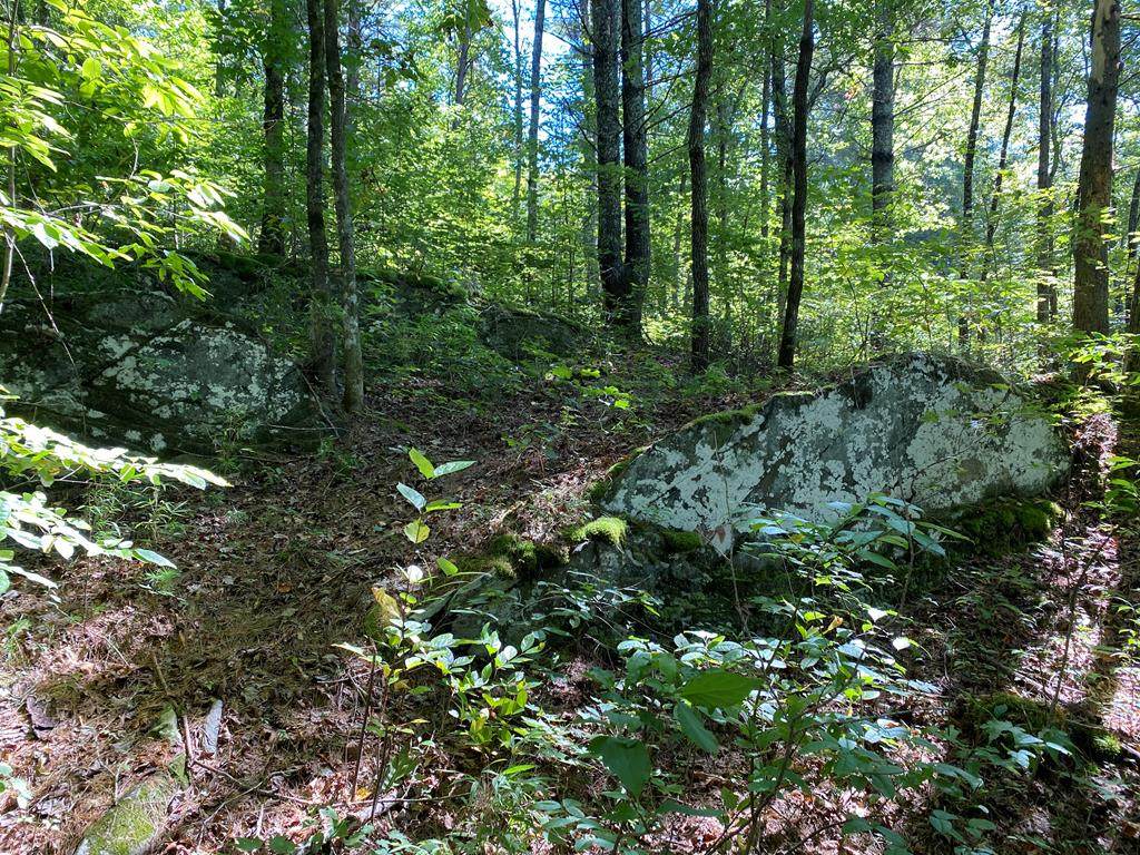 Lot 38 Trillium Heights Dr - Photo 1