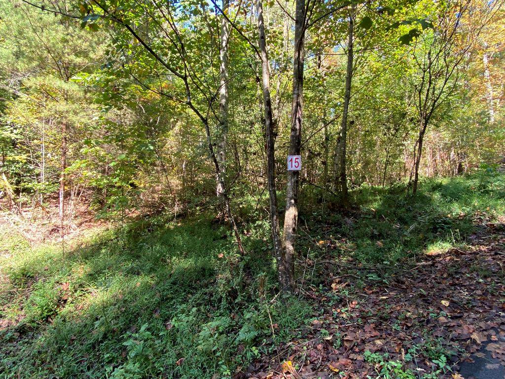 lot15 Prince Road - Photo 1