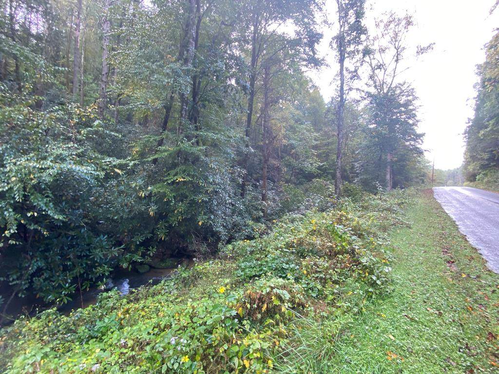 000 Dockery Creek Rd - Photo 1