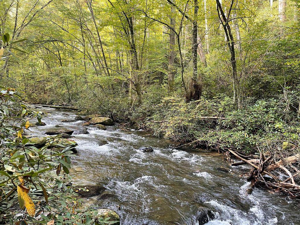 6231 Little Snowbird Rd - Photo 1