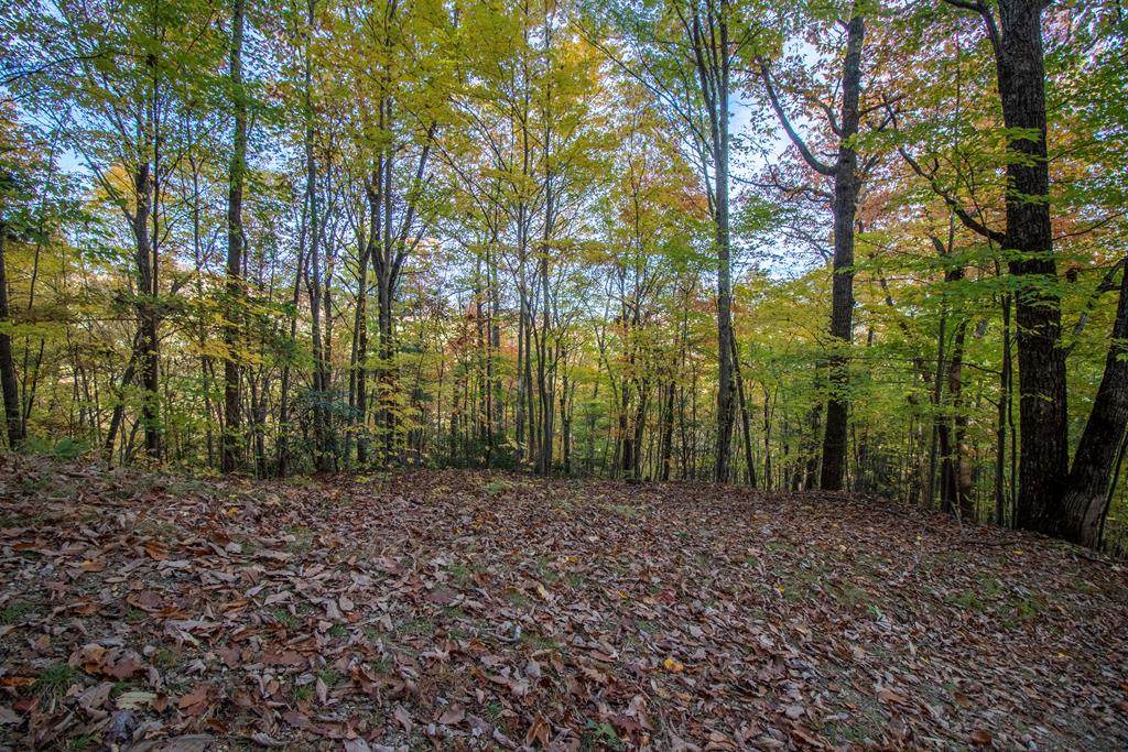 24 Beech Mountain Road - Photo 1