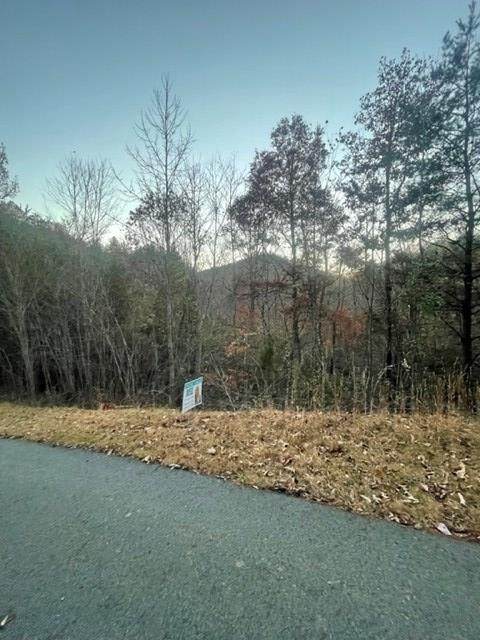 00 Flat Top Trail - Photo 1