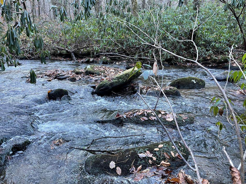 00 Davis Creek Rd - Photo 1