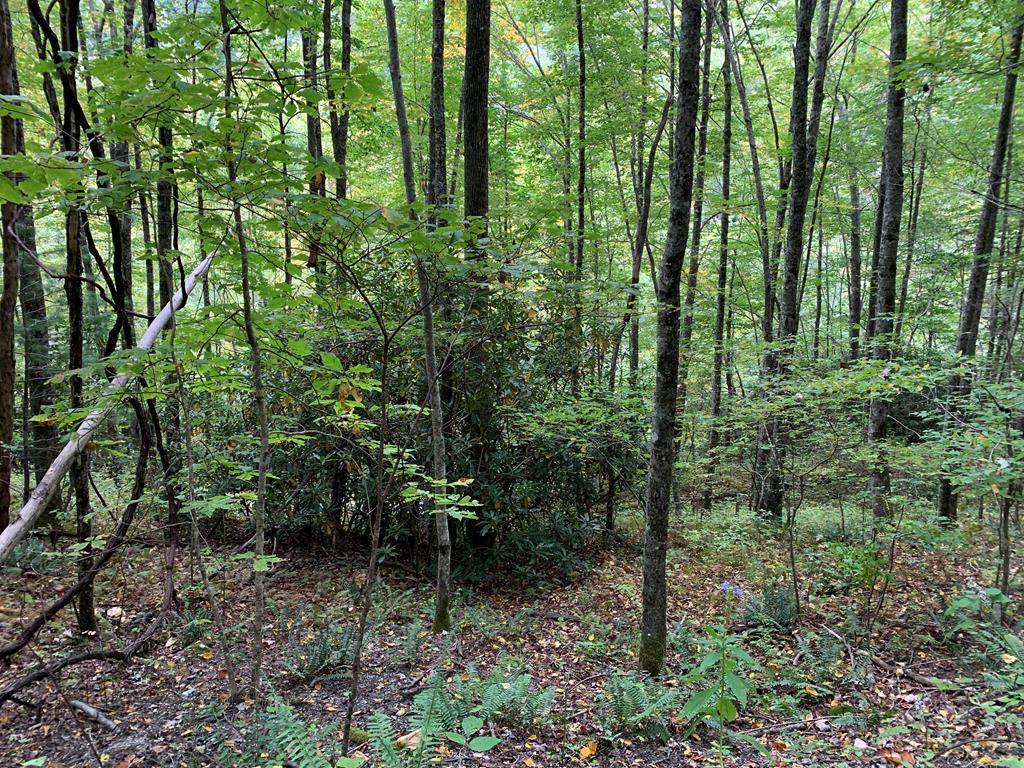 2 Lots Mt. Tabor - Photo 1