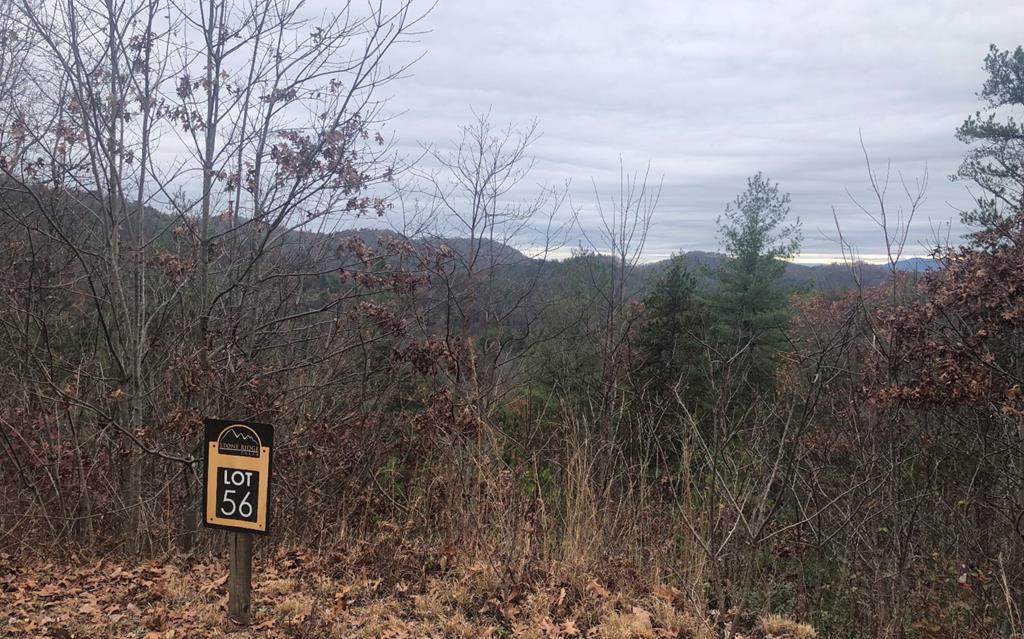 lot 56 Polecat Ridge Rd - Photo 1