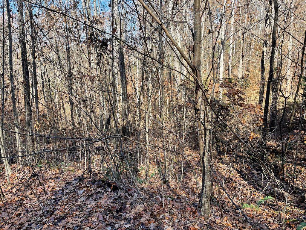 71J Ash Branch Drive - Photo 1