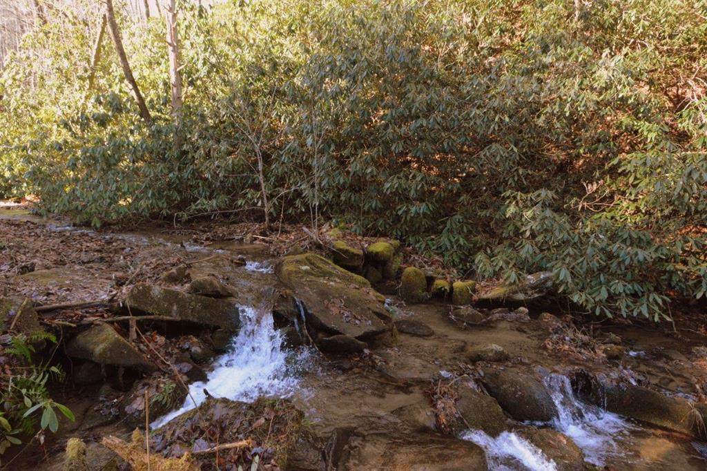 00 Upper Cove - Photo 1