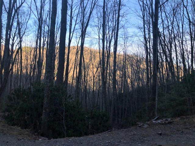 00 Upper Sawyers Creek - Photo 1