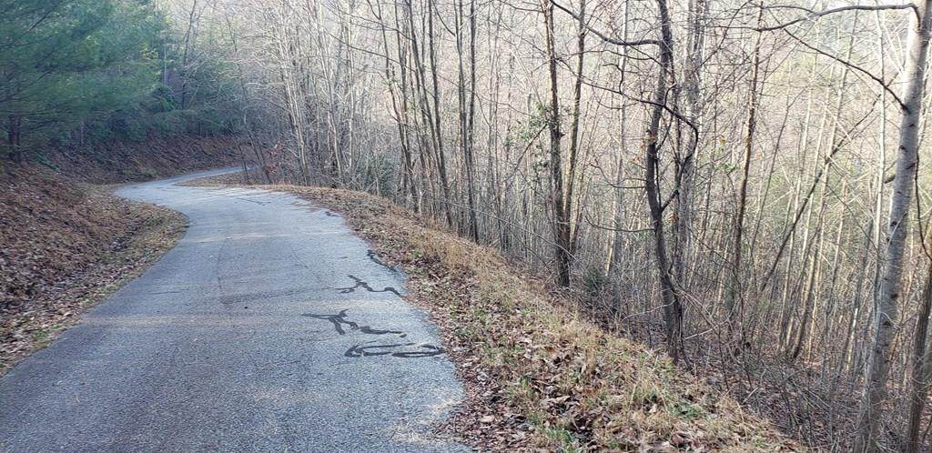 LOT 71 Fawn Ridge Trail - Photo 1