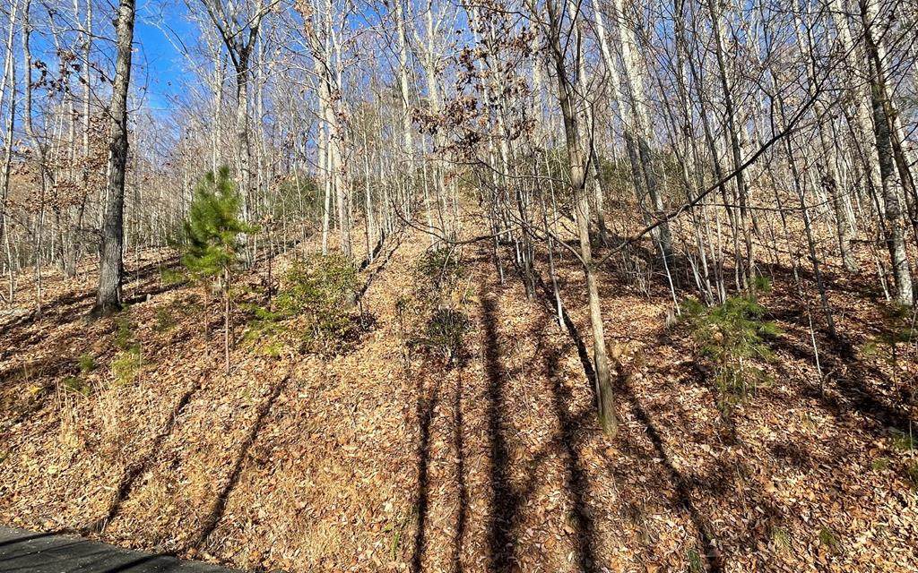 Lot 51 C Mountain Harbour - Photo 1