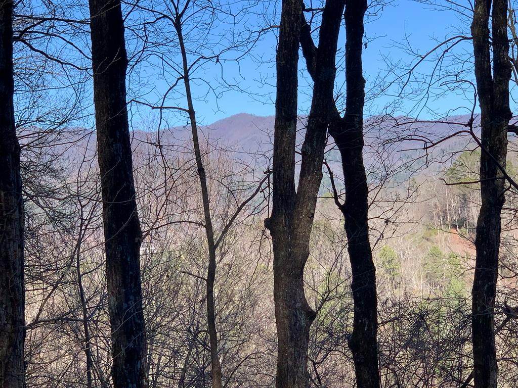 6 Acs High Falls - Photo 1
