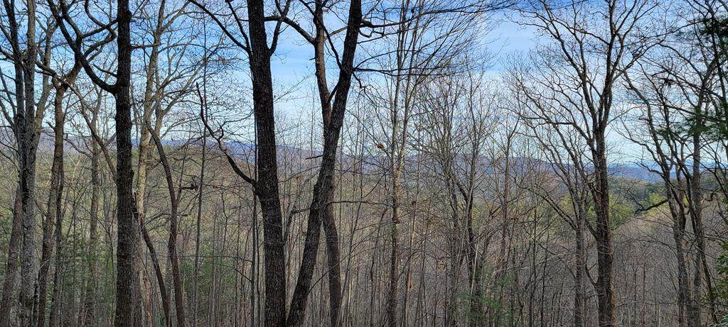 Lot 26 Beech Mountain Road - Photo 1