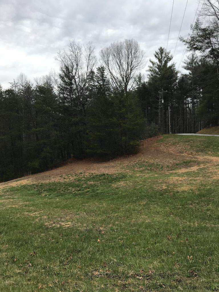 00 Dogwood Trail - Photo 1