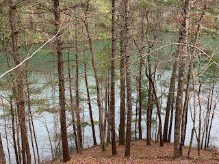 000 Wilderness Lake Circle - Photo 1
