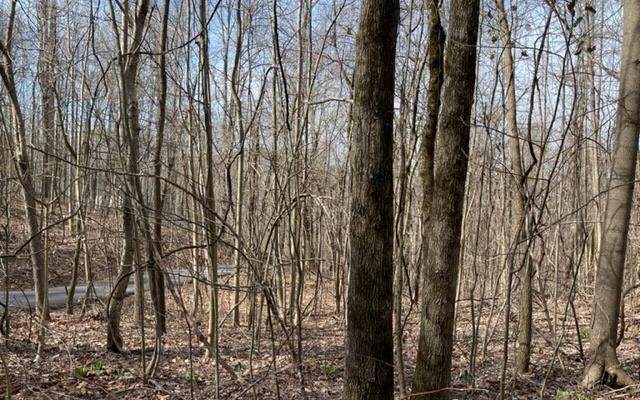 Tr 5 Bell Creek Ridge - Photo 1