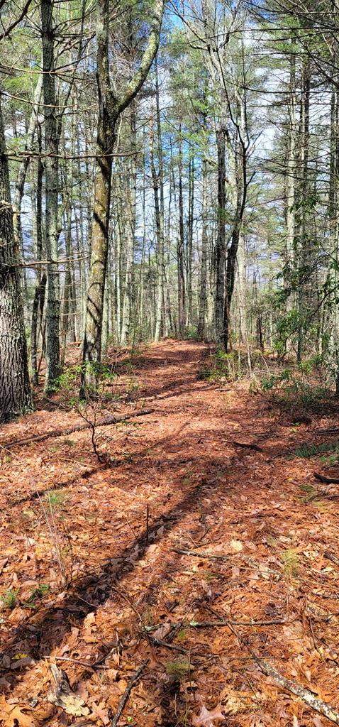 2300 Joe Brown Highway - Photo 1