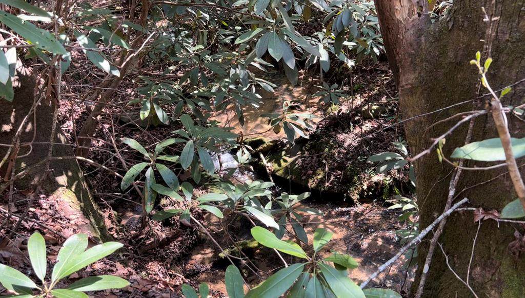00 Camp Creek Rd. - Photo 1