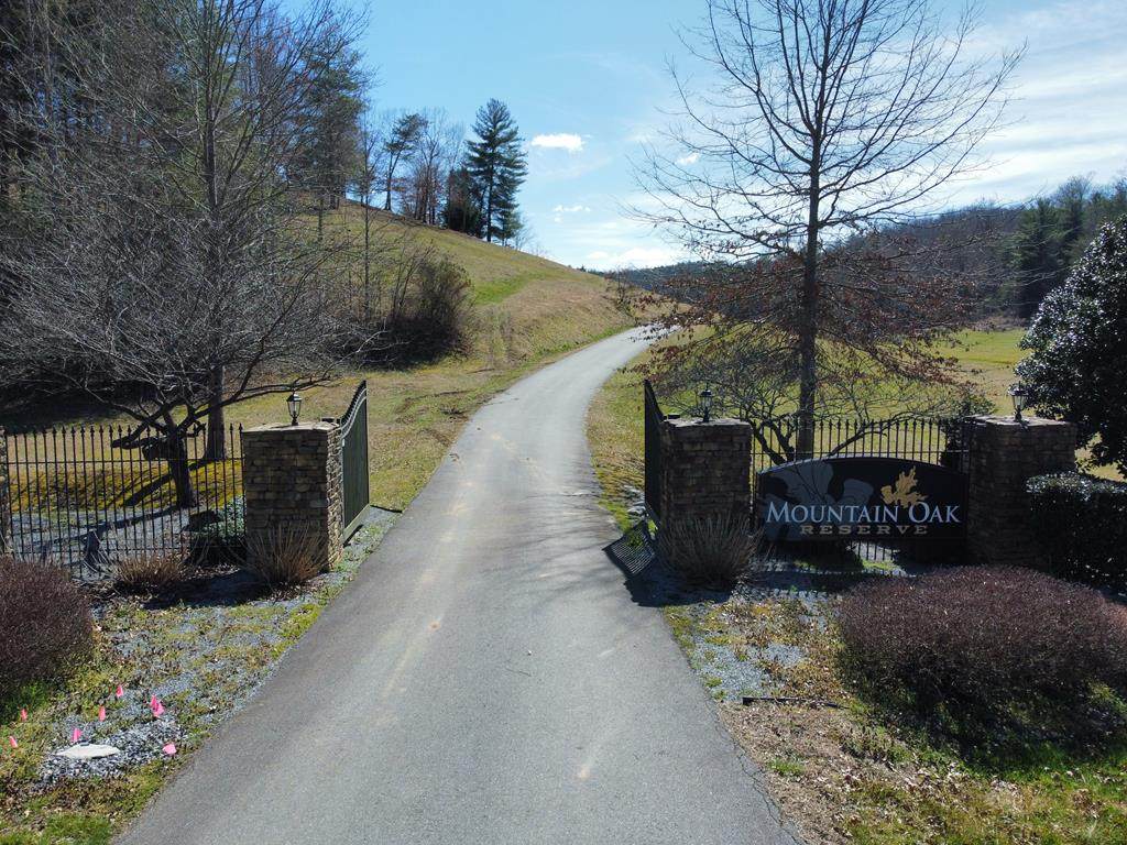 6.65 Ac. Maegans Drive - Photo 1