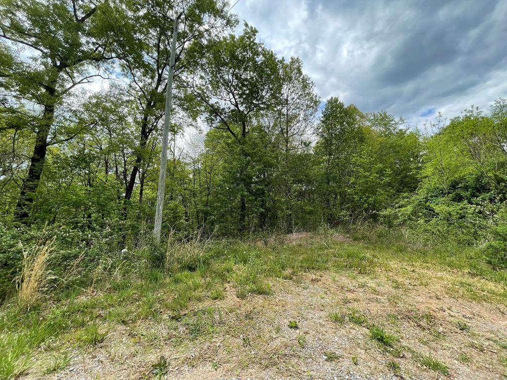 TBD Fairview Rd - Photo 1