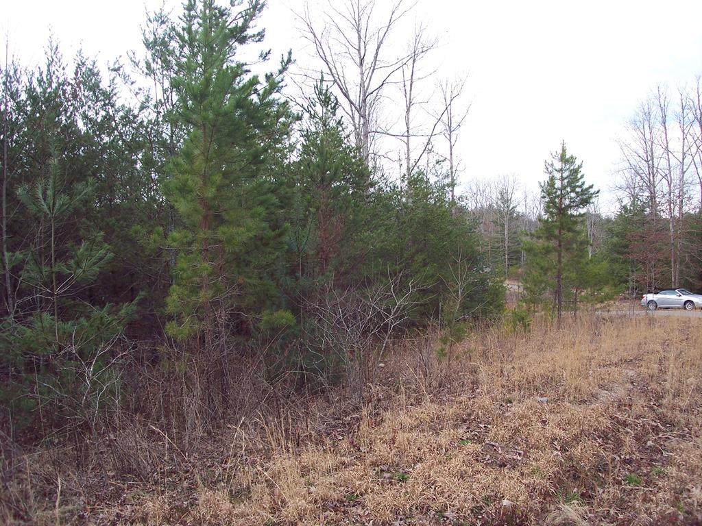 Lot 17 Grizzly Circle - Photo 1